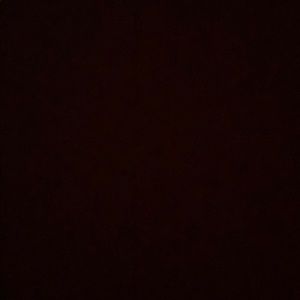 Meet your Posher, Daniela